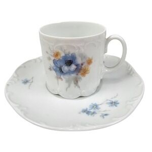 Classic Rose Rosenthal Group Germany Floral Tea Cup and Saucer Danbury Mint